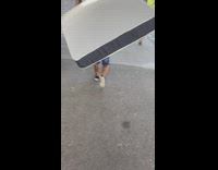 Man carry huge bed mattress on street