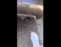 Guy sticks sock foot in car exhaust 