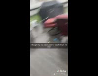 Guy looks for brown dog storm backyard 