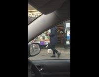 Small dog black jacket walks hind legs 