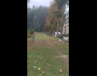 Woman checkered shirt throw dried leaves park