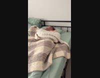 Mariachi band wakes up man in bedroom