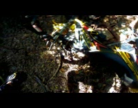 POV Guy on dirt bike driving through forest stops by tree