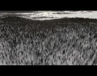 Drone fresh snow glass dome trees dogs