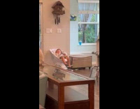 Dad holds baby toddler pouts at swing