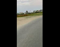 Black goose flies next to guy bicycle