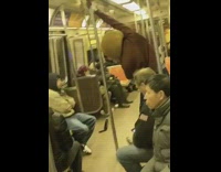 Passenger in teddy bear helmet mask spins on pole and walks on ceiling in subway train