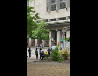 Girl peace sign dances car roof coachella 