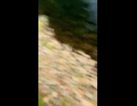 Filmer sticks out shoe fish bites it