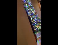 Woman caught dad watching the bachelor 