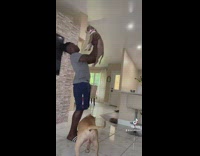 Collab BitchMP - Big dog also wants to be tossed in the air