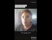 Guy asks flight attendant frozen ginger ale 