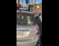 Cheerful sticker with toy dog in car