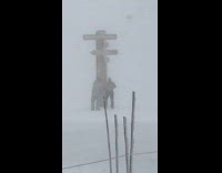Man shirtless snowstorm Mammoth Mountain signage