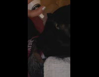 Collab Clips mpugc - Girl sprays whip cream into her and cats mouth