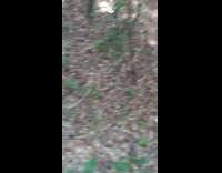 Girlfriend runs from guy in forest he chases her 