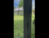 Girl grey shirt vlog walk on yard