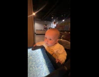 Baby focused on watching chef cook