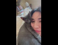 Gray cat gives woman lots of hugs 