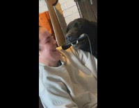 Collab Clips mpugc - Girl singing karaoke dog holding microphone