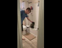 Collab DailyDoseOfInternet - Cat meows when owner says bark bathtub