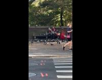Woman sits on bench surrounded by pigeons