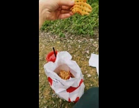 Woman offers deer french fry attacked