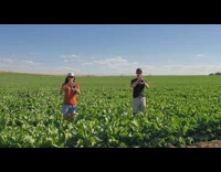 Two people play the trumpet on the sugar beet field