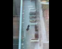 Two girls black jacket dance tiktok video rooftop Part 2