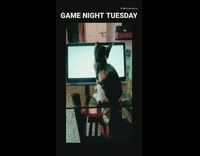 Cat sits glass table virtual cockroach tablet 