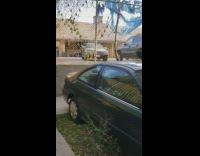 Green sedan car surrounded by fences gates