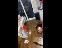 Women in kitchen sing on chair fall 