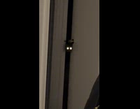 Cat peeks out from bedroom door eyes glowing 
