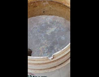 Fly swim in the bucket with oil