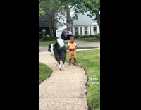 Collab Clips MPUGC - Kid sneaks off and ran away from mom 