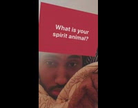 Guy says his spirit animal is depression 