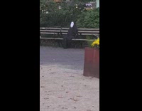 Person at park dressed as no face from spirited away 