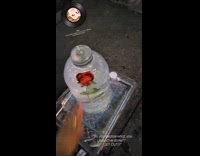 Filmer touch ice sculpture with rose inside