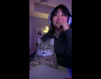 Cat watching tv with woman and reaches for hand 