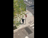 Woman dance on street with stop sign