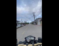 Dog spinning in the middle of road