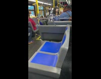 Girl styles friends hair on bus 