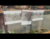 Printed out photos of plant thief 