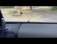 Spider on car window does backflip jump