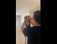 Dog bends backwards while being carried