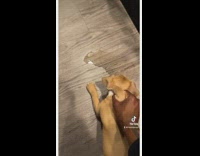 Collab ClipsIG - Guy makes puppy stand by wall for peeing inside house 