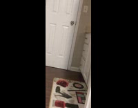 Little girl toilet paper poop prank