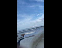 Dog run fast and hits camera beach