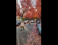Woman brown coat middle street red leaves