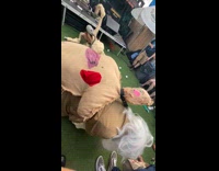 2 people scream and move for interpretive concert Part 2 